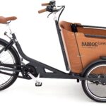 Babboe Curve Mountain 2026 Electric Cargo Bike