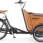 Babboe Go Mountain 2026 Electric Cargo Bike
