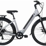 Falcon Horizon Low Step 2026 Electric Bike