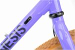 Genesis Croix De Fer 725 2026 Frameset - Image 6