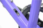 Genesis Croix De Fer 725 2026 Frameset - Image 9