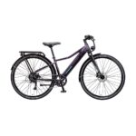 EZEGO Commute INT Unisex 2025 Electric Bike
