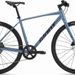 Giant Escape Disc 1 2025 Bike